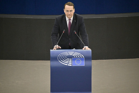 Plenartagung zur Todestrafe im Iran im EU-Parlament in Straßburg