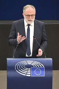 Plenartagung zur Todestrafe im Iran im EU-Parlament in Straßburg
