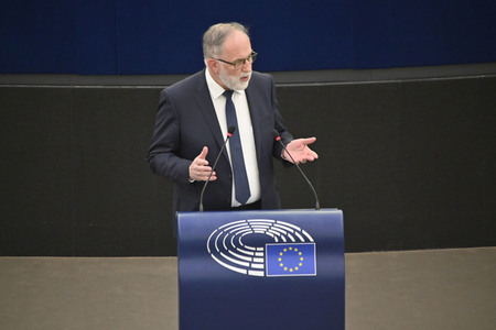 Plenartagung zur Todestrafe im Iran im EU-Parlament in Straßburg