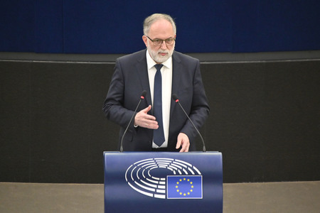 Plenartagung zur Todestrafe im Iran im EU-Parlament in Straßburg