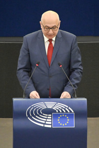 Plenartagung zur Todestrafe im Iran im EU-Parlament in Straßburg