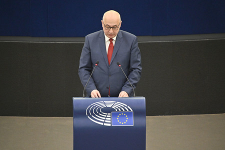 Plenartagung zur Todestrafe im Iran im EU-Parlament in Straßburg