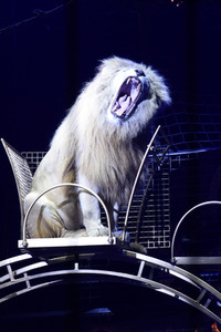 Vorpremiere vom Circus Krone Winterprogramm 'New Memories' in München