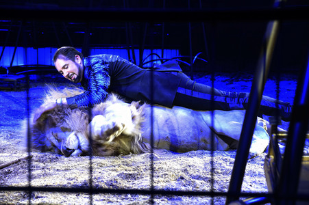 Vorpremiere vom Circus Krone Winterprogramm 'New Memories' in München