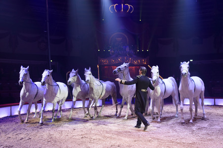 Vorpremiere vom Circus Krone Winterprogramm 'New Memories' in München