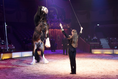 Vorpremiere vom Circus Krone Winterprogramm 'New Memories' in München