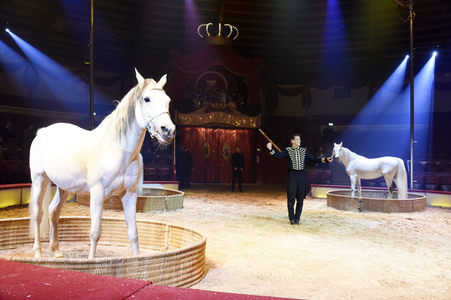 Vorpremiere vom Circus Krone Winterprogramm 'New Memories' in München