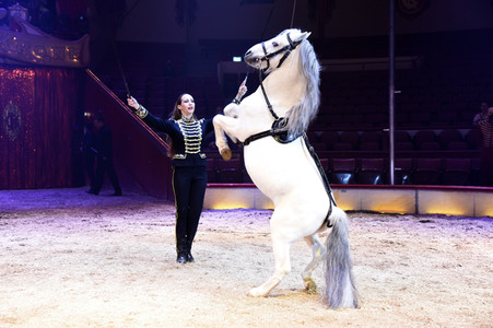 Vorpremiere vom Circus Krone Winterprogramm 'New Memories' in München