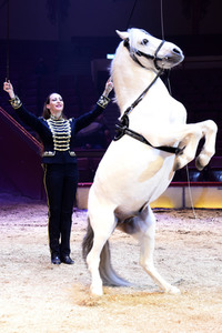 Vorpremiere vom Circus Krone Winterprogramm 'New Memories' in München
