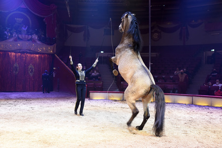 Vorpremiere vom Circus Krone Winterprogramm 'New Memories' in München