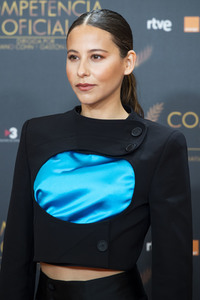 Photocall 'Official Competition' in Madrid