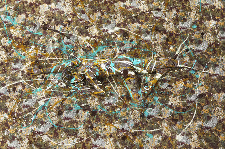 DIVERSE PEOPLE ART Kunstperformance-Serie