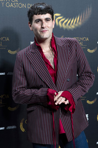 Filmpremiere 'Official Competition' in Madrid