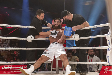 Box Champions Night in Hamburg