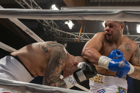 Box Champions Night in Hamburg