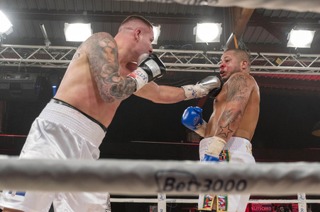 Box Champions Night in Hamburg