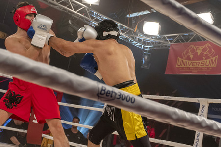 Box Champions Night in Hamburg