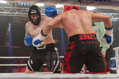 Box Champions Night in Hamburg