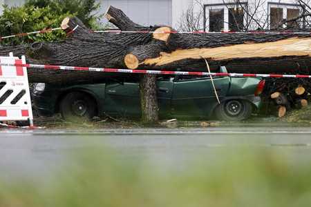 Symbolfoto Sturmschäden