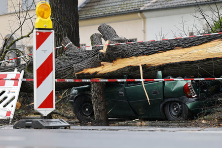 Symbolfoto Sturmschäden