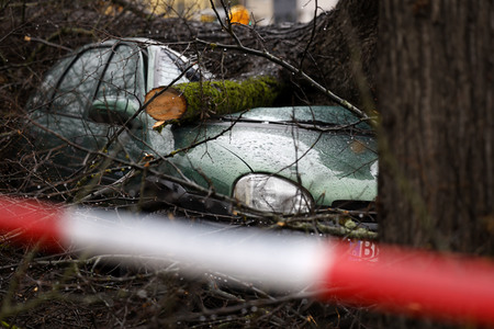 Symbolfoto Sturmschäden