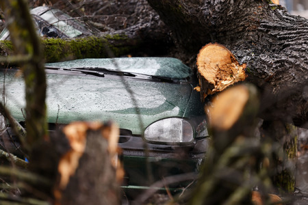 Symbolfoto Sturmschäden