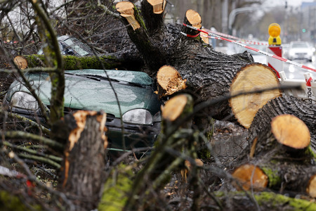Symbolfoto Sturmschäden