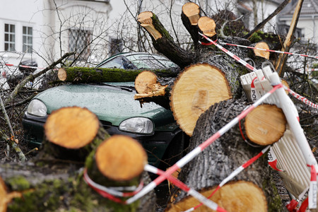 Symbolfoto Sturmschäden