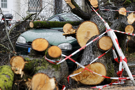Symbolfoto Sturmschäden
