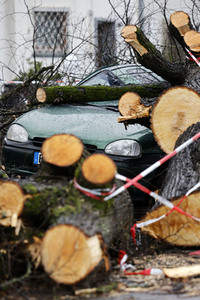 Symbolfoto Sturmschäden