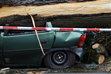 Symbolfoto Sturmschäden