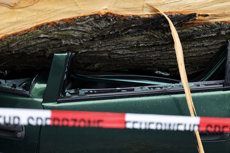 Symbolfoto Sturmschäden