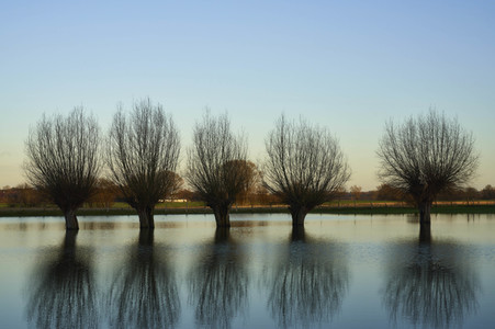 Hochwasser in Garbsen
