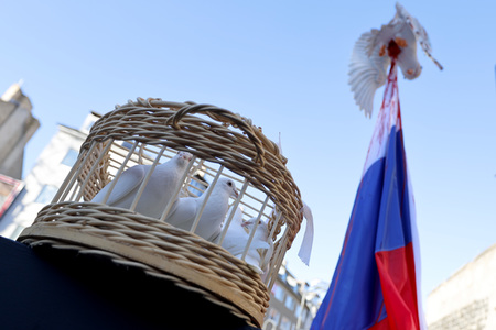 Friedensdemo am Rosenmontag in Köln