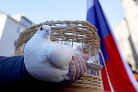 Friedensdemo am Rosenmontag in Köln