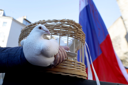 Friedensdemo am Rosenmontag in Köln