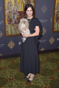 Serienpremiere 'Shining Vale' in Los Angeles