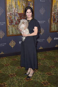 Serienpremiere 'Shining Vale' in Los Angeles