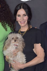 Serienpremiere 'Shining Vale' in Los Angeles