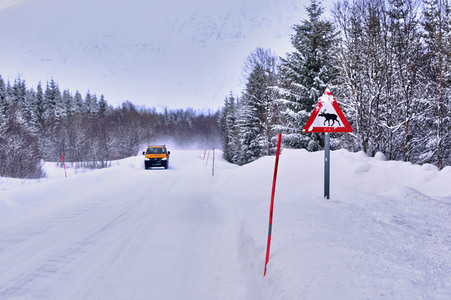 Symbolfoto Verkehrsschild 'Achtung Elch'