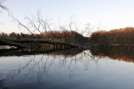 Symbolfoto Sturmschäden