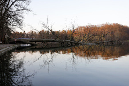 Symbolfoto Sturmschäden