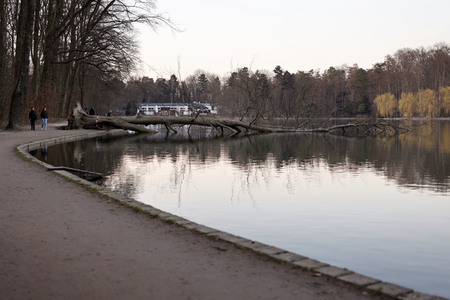 Symbolfoto Sturmschäden