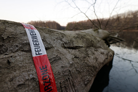 Symbolfoto Sturmschäden