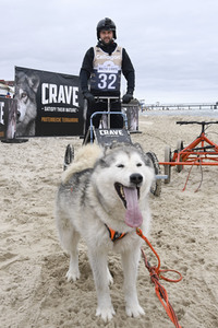 Baltic Lights 2022 auf Usedom