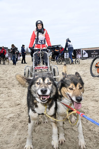 Baltic Lights 2022 auf Usedom