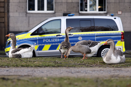 Symbolfoto Polizei