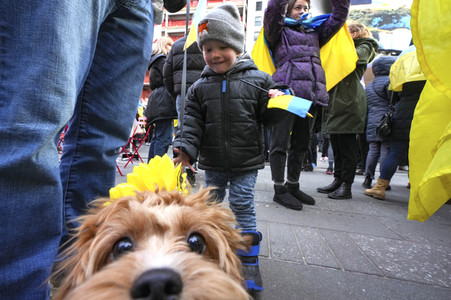 Ukraine Demo In New York