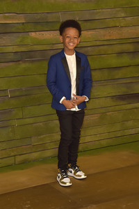 Serienpremiere 'The Last Days of Ptolemy Grey' in Los Angeles