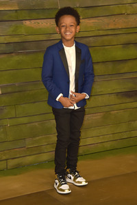Serienpremiere 'The Last Days of Ptolemy Grey' in Los Angeles
